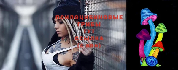 круглые Алзамай