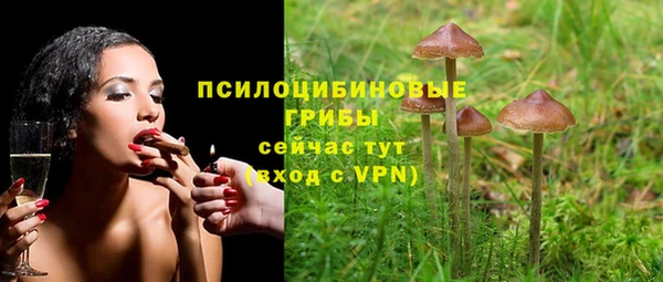 гашик Армянск