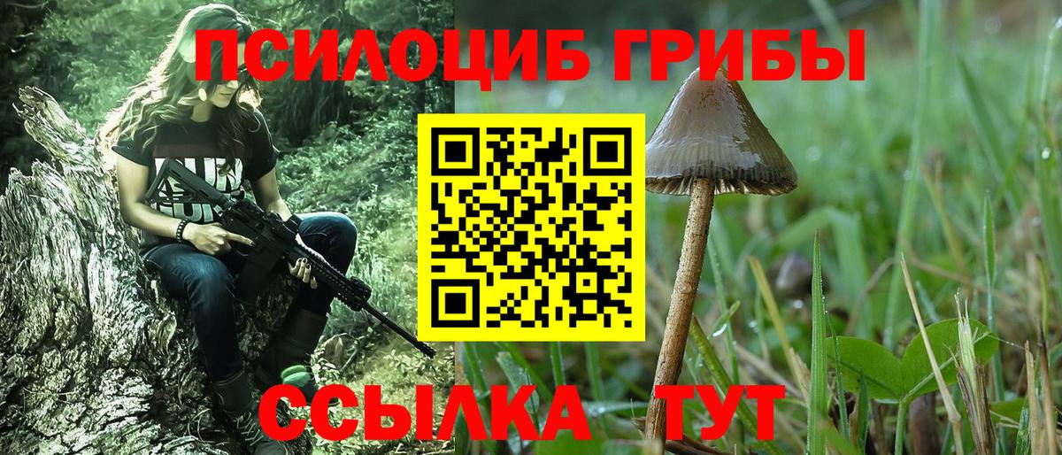 Галлюциногенные грибы прущие грибы  Вход с VPN  Березники 